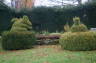 Photo ID: 016199, Animal topiary (183Kb)