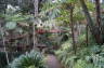 Photo ID: 017131, In the Oriental Gardens (214Kb)