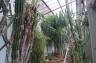 Photo ID: 017873, Succulents (173Kb)