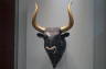 Photo ID: 019765, Bulls head (54Kb)