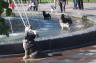 Photo ID: 020568, Dog fountain (136Kb)