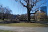 Photo ID: 022285, Boston Public Garden (110Kb)