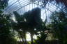 Photo ID: 029701, Inside the Jardin d'hiver (162Kb)