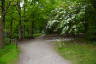 Photo ID: 040561, Walk through the woods (242Kb)