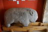 Photo ID: 051439, A stone wild pig (140Kb)