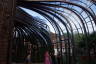 Photo ID: 053830, The greenhouses (182Kb)
