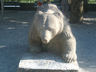 Photo ID: 002067, The bear (66Kb)
