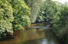 Photo ID: 007948, The River Derwent (136Kb)