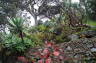 Photo ID: 017095, Inside the Botanical Gardens (224Kb)