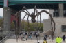 Photo ID: 021015, Giant spider (116Kb)