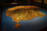 Photo ID: 025277, Map of Gran Canaria (146Kb)