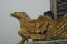 Photo ID: 030057, Golden eagle (103Kb)