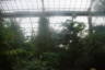 Photo ID: 037471, Tropical rain forest (105Kb)