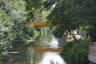 Photo ID: 041222, Basingstoke Canal (220Kb)