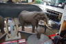 Photo ID: 041999, Elephants (154Kb)