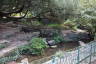 Photo ID: 042339, Rock garden in the Jardin des Plantes (236Kb)