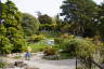 Photo ID: 043162, Jardins botaniques cantonaux (253Kb)