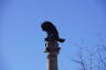 Photo ID: 044636, The Portuguese Lion crushing a Napoleonic Eagle (82Kb)