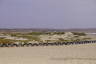 Photo ID: 045172, Dunes by Kite Beach (116Kb)