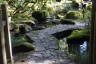 Photo ID: 051571, Path through the Natural Garden (197Kb)