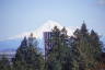 Photo ID: 051659, Mount Hood from Washington Park (151Kb)