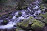 Photo ID: 051730, The creek (215Kb)