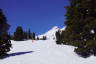 Photo ID: 051750, On the ski run (135Kb)