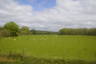 Photo ID: 052209, Sussex grazing (109Kb)