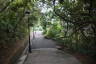 Photo ID: 063592, On the path running around the top of Guia Hill (231Kb)