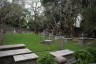 Photo ID: 063628, Anglican graveyard (213Kb)