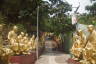Photo ID: 063824, Climbing up past many Buddhas (206Kb)