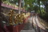 Photo ID: 063831, Buddhas riding on animals (203Kb)