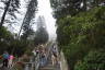 Photo ID: 063987, Climbing towards the Tian Tan Buddha (214Kb)