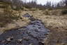 Photo ID: 064670, One of many streams crossing the path (213Kb)