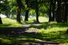 Photo ID: 065937, On the Antonine Wall by Rough Castle (195Kb)