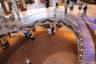 Photo ID: 066605, Looking down the atrium (130Kb)
