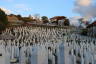 Photo ID: 067539, The Kovaci Cemetery for the Bosnian War dead (140Kb)
